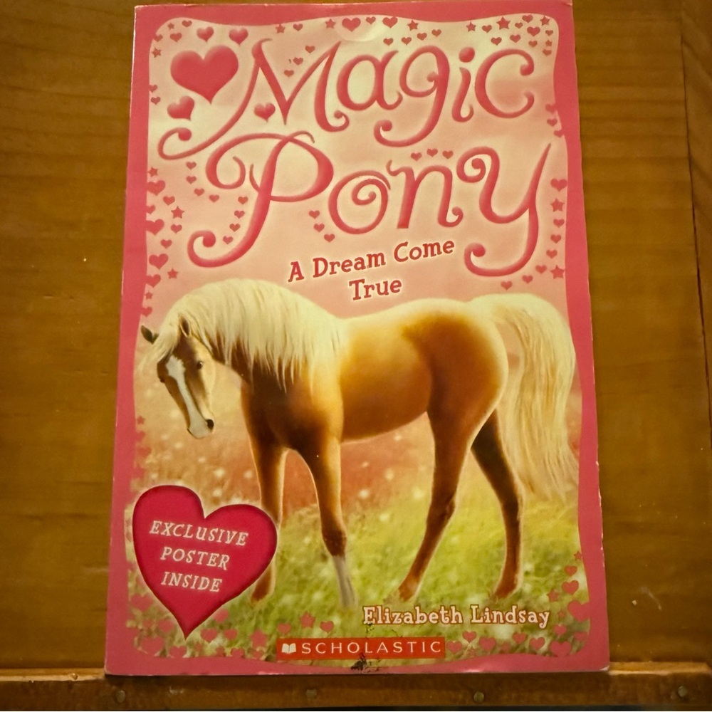 Magic Pony A Dream Come True Children’s Chapter Book by Elizabeth Lindsay